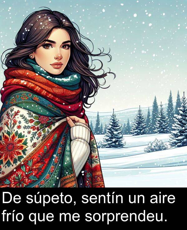 aire: De súpeto, sentín un aire frío que me sorprendeu.