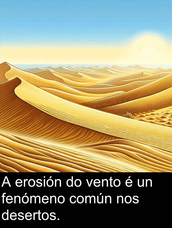 erosión: A erosión do vento é un fenómeno común nos desertos.
