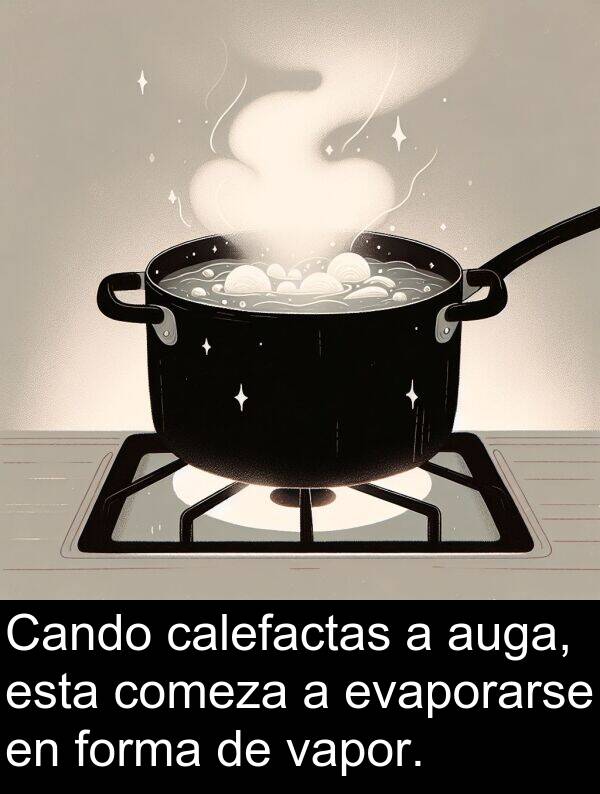forma: Cando calefactas a auga, esta comeza a evaporarse en forma de vapor.