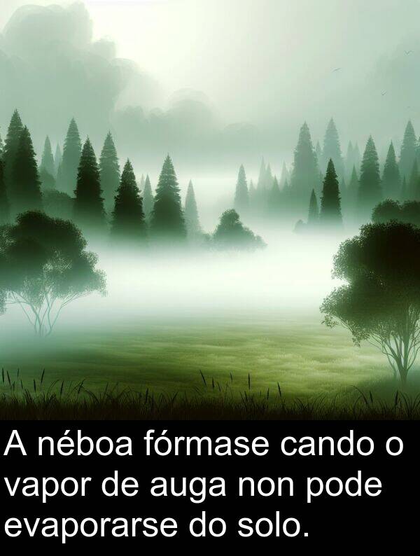 fórmase: A néboa fórmase cando o vapor de auga non pode evaporarse do solo.