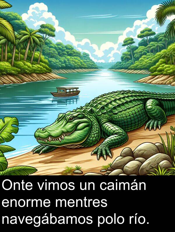 río: Onte vimos un caimán enorme mentres navegábamos polo río.