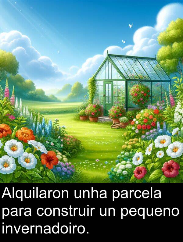 construir: Alquilaron unha parcela para construir un pequeno invernadoiro.