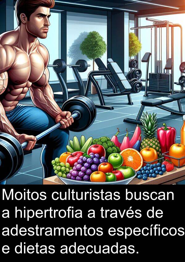específicos: Moitos culturistas buscan a hipertrofia a través de adestramentos específicos e dietas adecuadas.