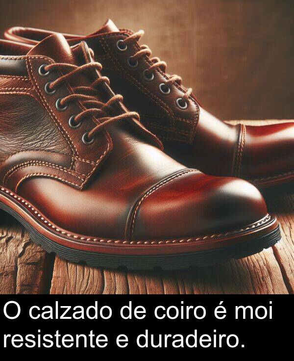 resistente: O calzado de coiro é moi resistente e duradeiro.