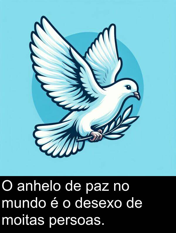 paz: O anhelo de paz no mundo é o desexo de moitas persoas.