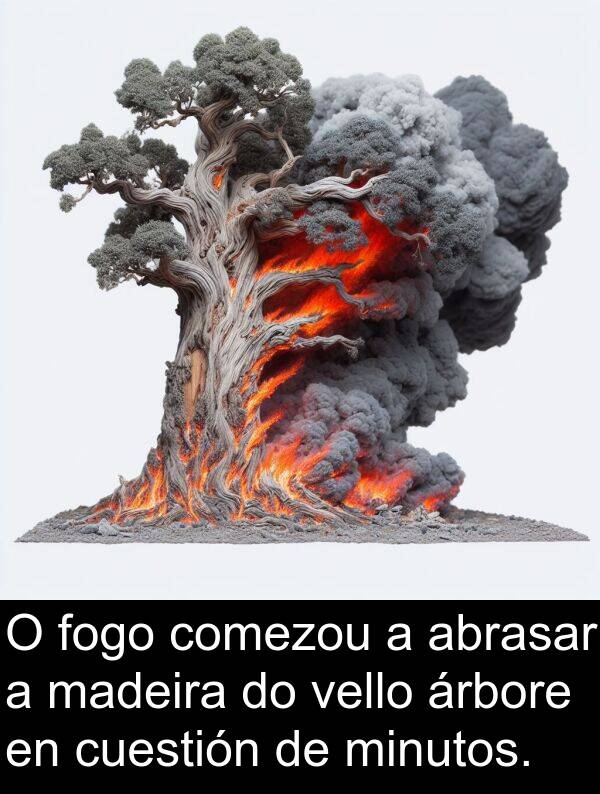 minutos: O fogo comezou a abrasar a madeira do vello árbore en cuestión de minutos.