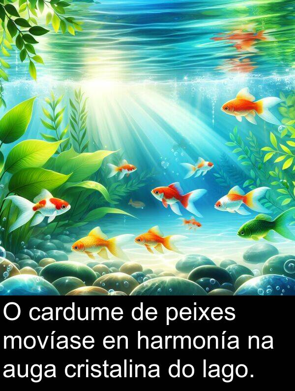 peixes: O cardume de peixes movíase en harmonía na auga cristalina do lago.