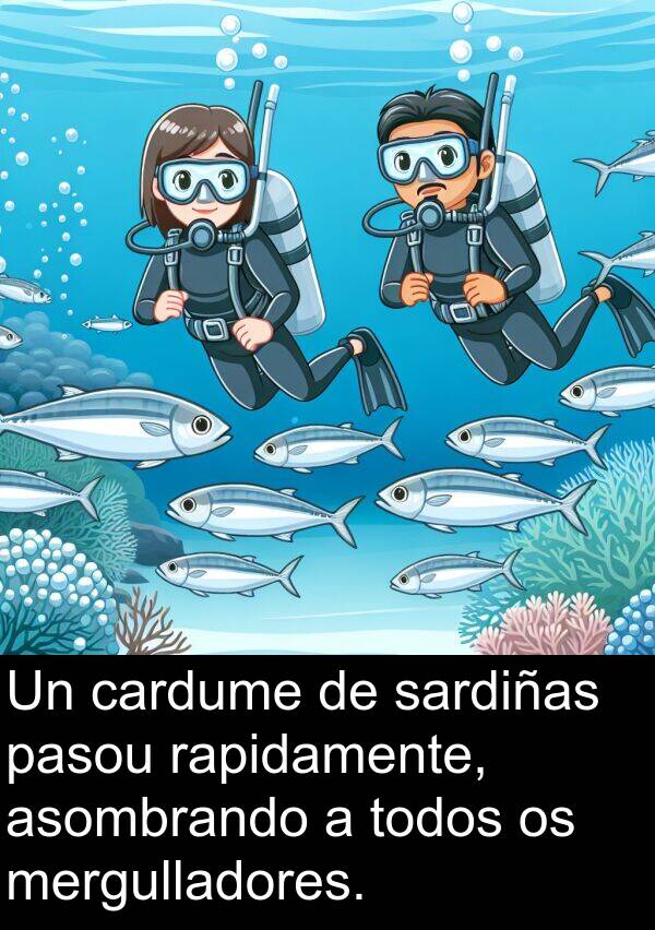 rapidamente: Un cardume de sardiñas pasou rapidamente, asombrando a todos os mergulladores.
