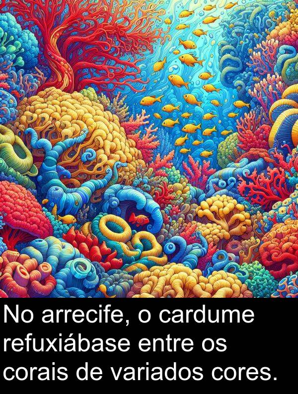 refuxiábase: No arrecife, o cardume refuxiábase entre os corais de variados cores.