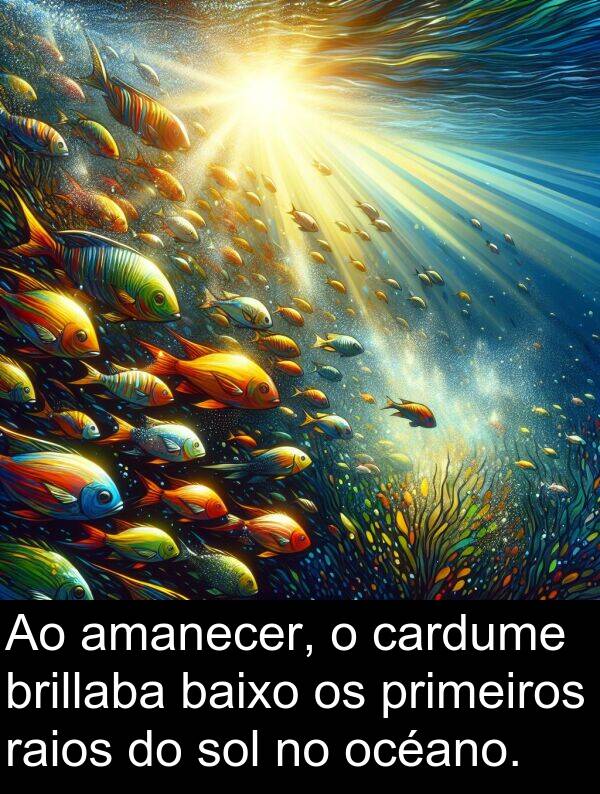 raios: Ao amanecer, o cardume brillaba baixo os primeiros raios do sol no océano.