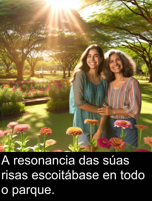 resonancia: A resonancia das súas risas escoitábase en todo o parque.