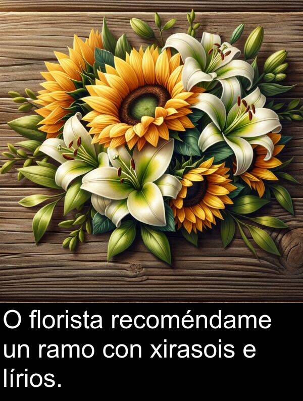 recoméndame: O florista recoméndame un ramo con xirasois e lírios.
