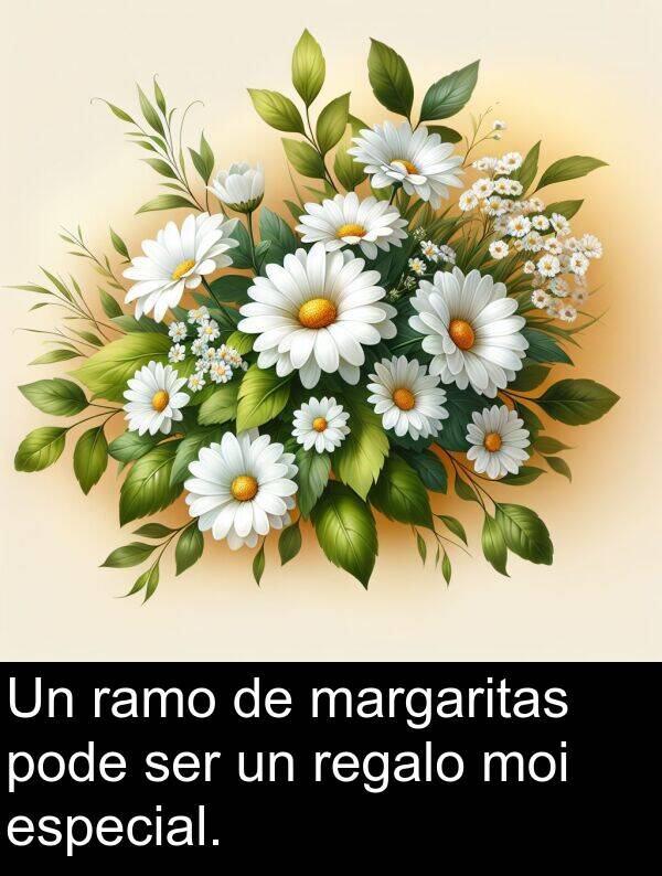 regalo: Un ramo de margaritas pode ser un regalo moi especial.