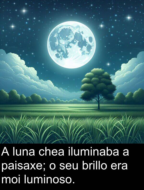 brillo: A luna chea iluminaba a paisaxe; o seu brillo era moi luminoso.