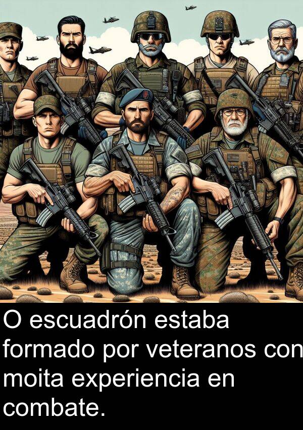formado: O escuadrón estaba formado por veteranos con moita experiencia en combate.
