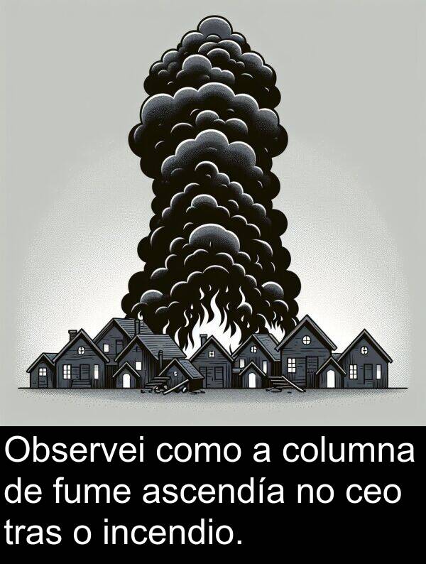 fume: Observei como a columna de fume ascendía no ceo tras o incendio.