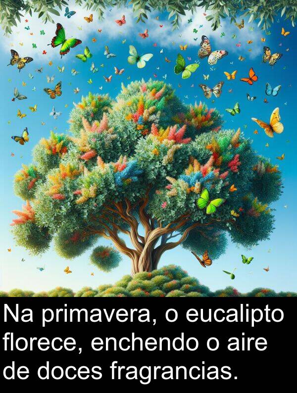 aire: Na primavera, o eucalipto florece, enchendo o aire de doces fragrancias.