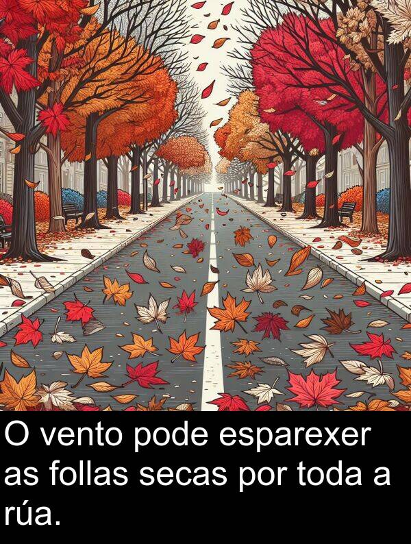 por: O vento pode esparexer as follas secas por toda a rúa.