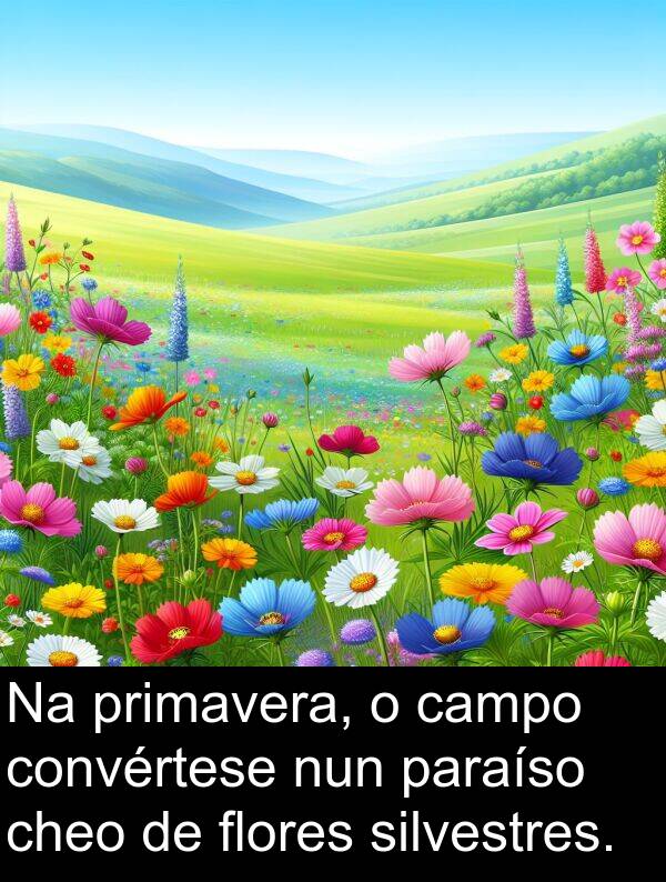 convértese: Na primavera, o campo convértese nun paraíso cheo de flores silvestres.