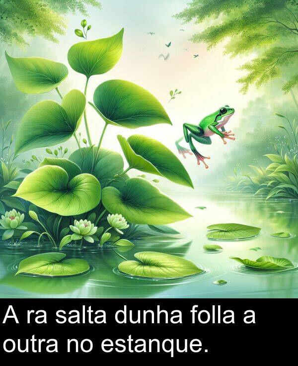 dunha: A ra salta dunha folla a outra no estanque.