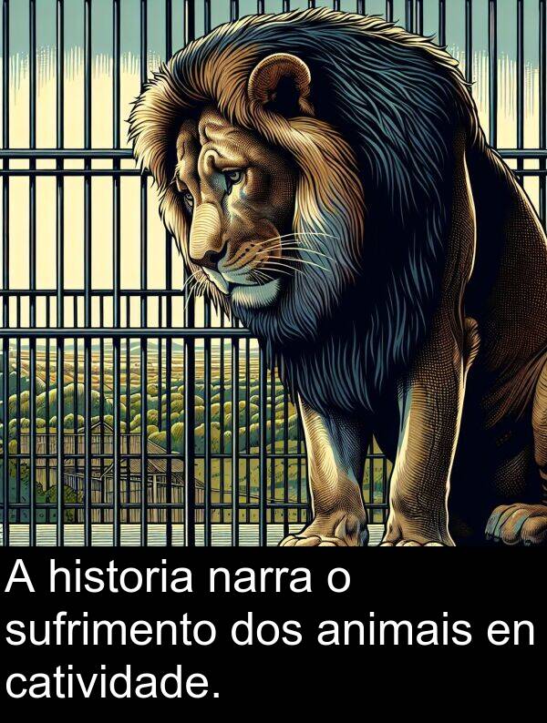 dos: A historia narra o sufrimento dos animais en catividade.