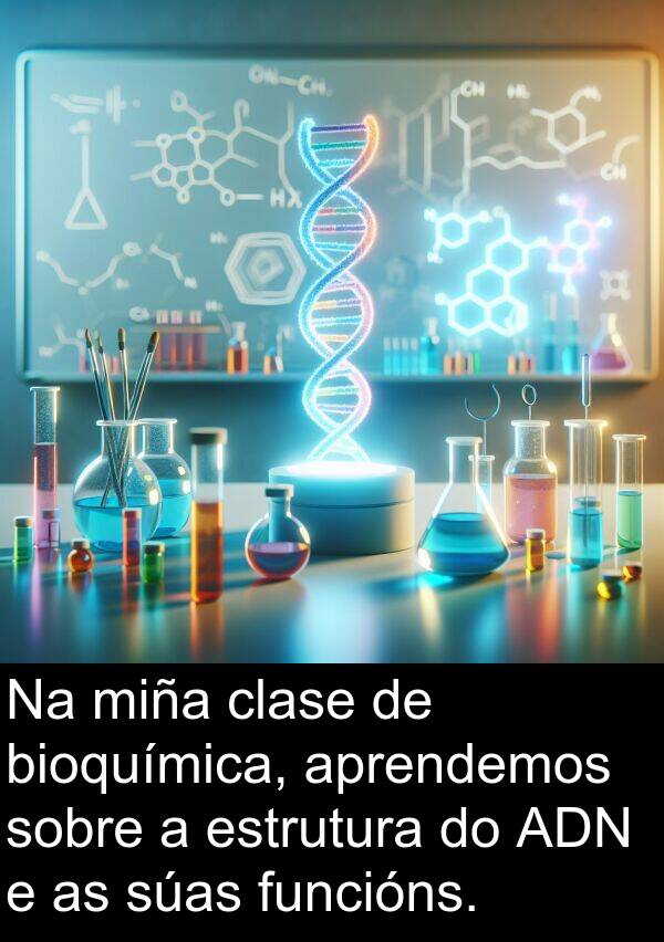 funcións: Na miña clase de bioquímica, aprendemos sobre a estrutura do ADN e as súas funcións.