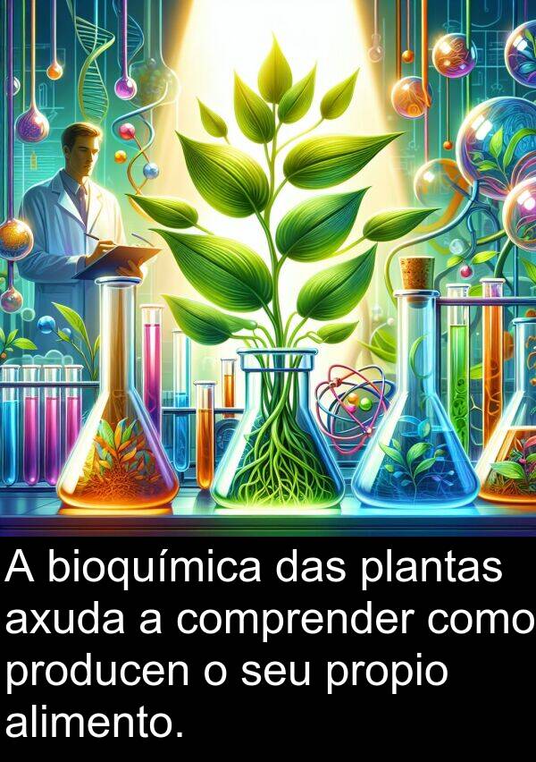 producen: A bioquímica das plantas axuda a comprender como producen o seu propio alimento.