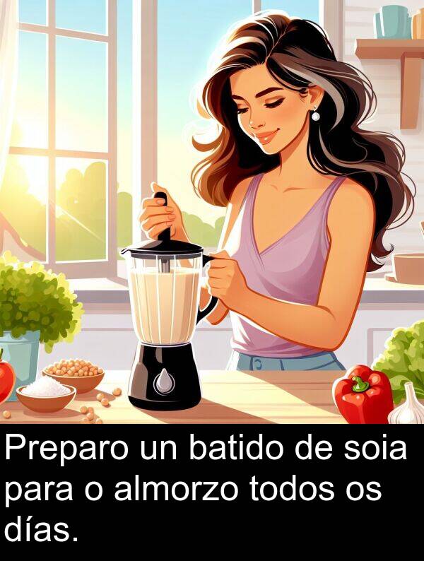 días: Preparo un batido de soia para o almorzo todos os días.