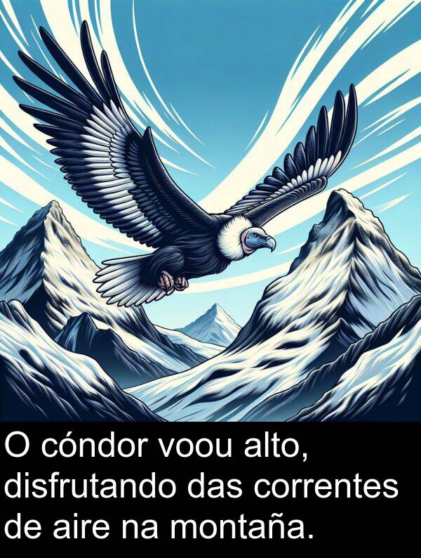 aire: O cóndor voou alto, disfrutando das correntes de aire na montaña.