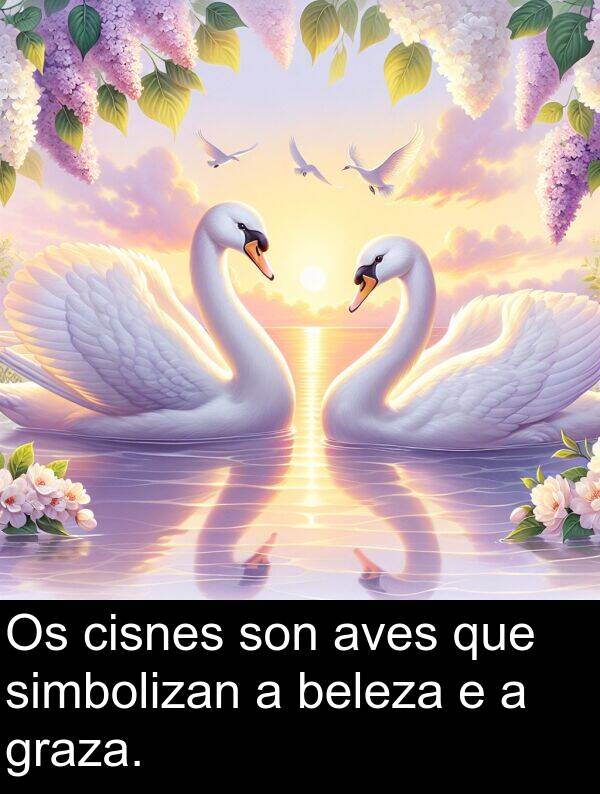 cisnes: Os cisnes son aves que simbolizan a beleza e a graza.