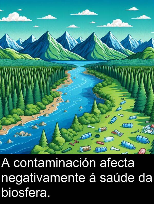 contaminación: A contaminación afecta negativamente á saúde da biosfera.