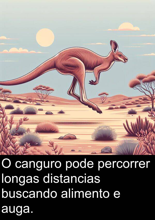 percorrer: O canguro pode percorrer longas distancias buscando alimento e auga.