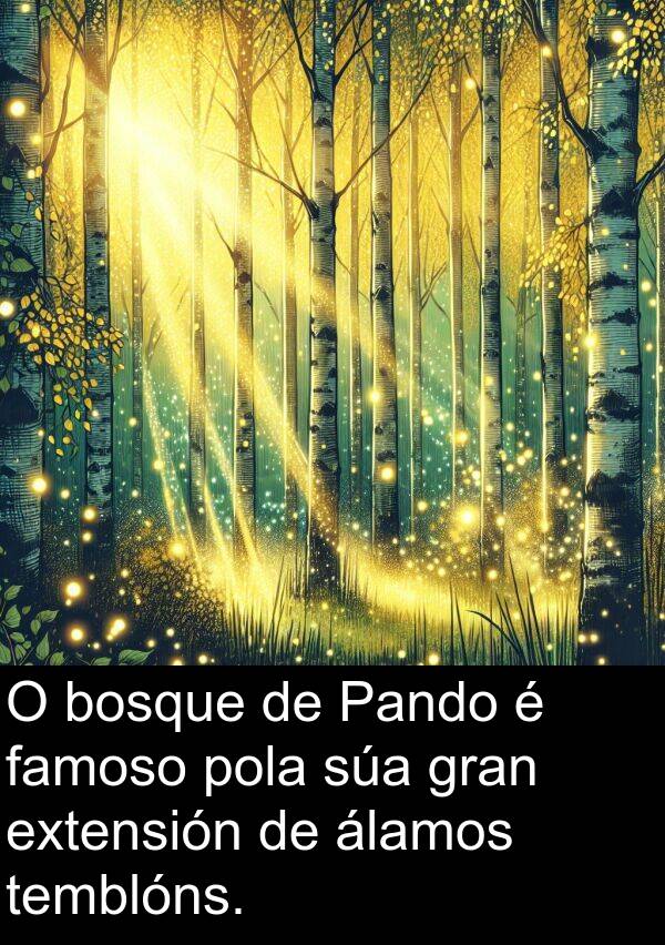 extensión: O bosque de Pando é famoso pola súa gran extensión de álamos temblóns.