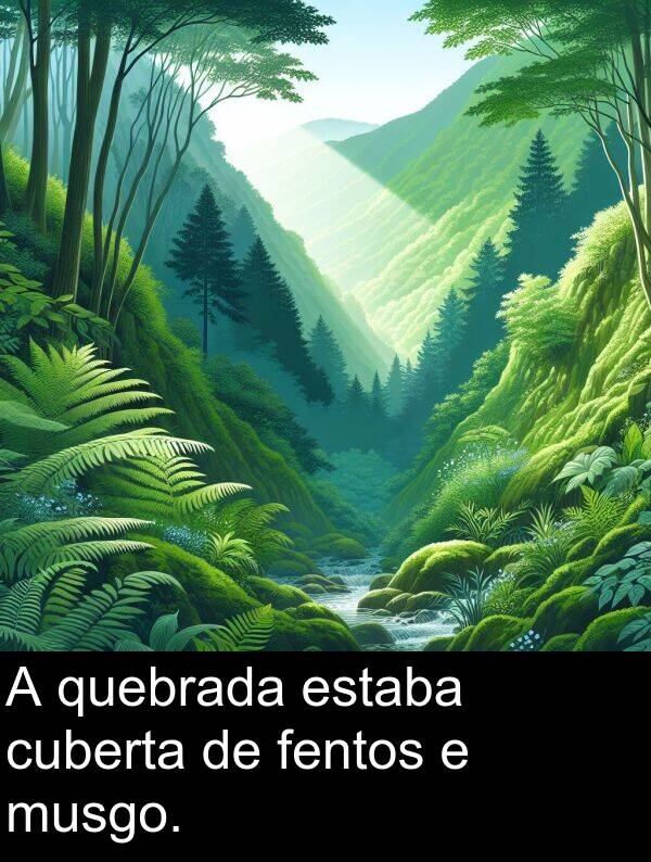 cuberta: A quebrada estaba cuberta de fentos e musgo.