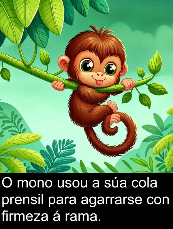 rama: O mono usou a súa cola prensil para agarrarse con firmeza á rama.