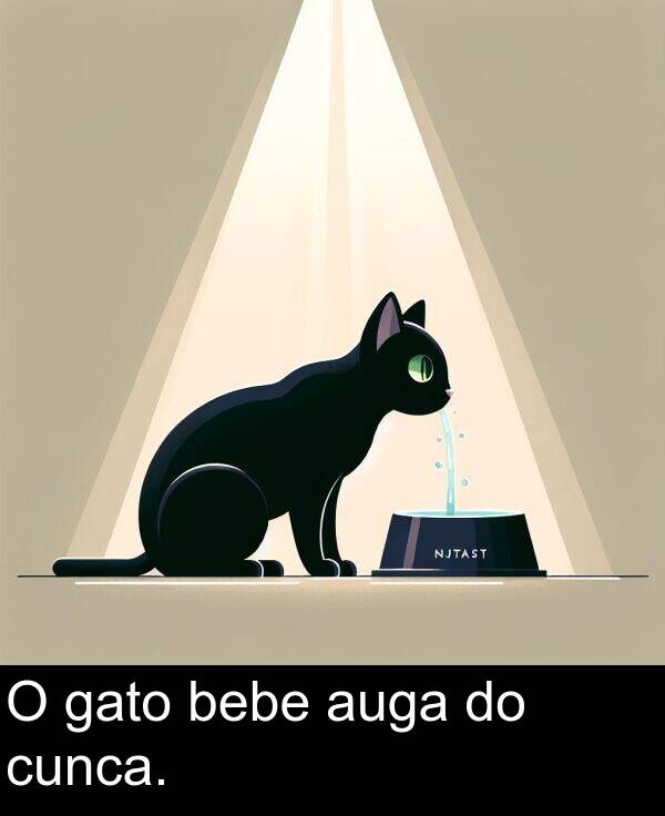 bebe: O gato bebe auga do cunca.