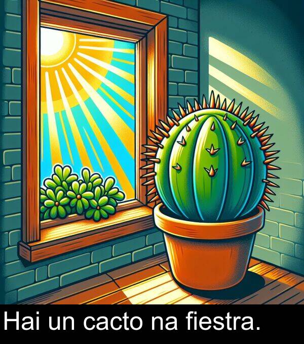 fiestra: Hai un cacto na fiestra.