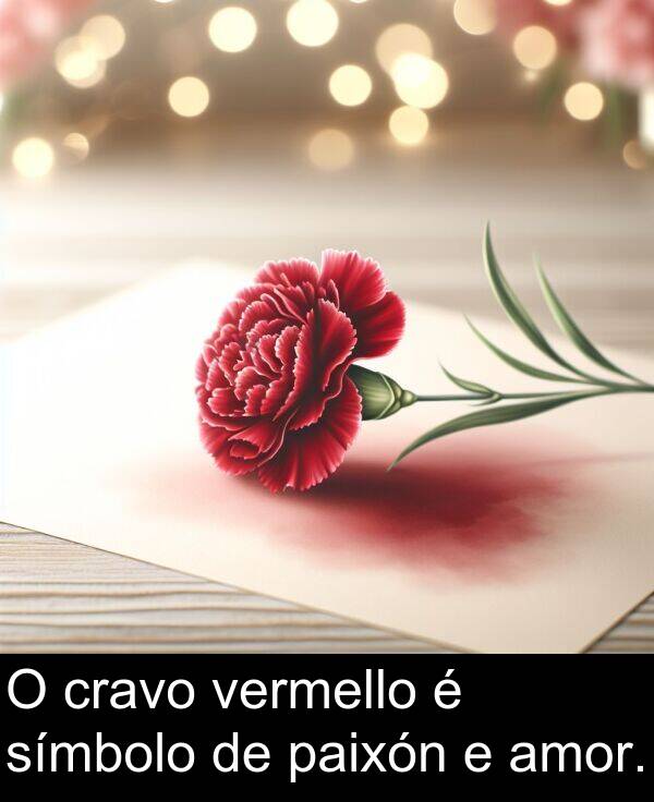 amor: O cravo vermello é símbolo de paixón e amor.