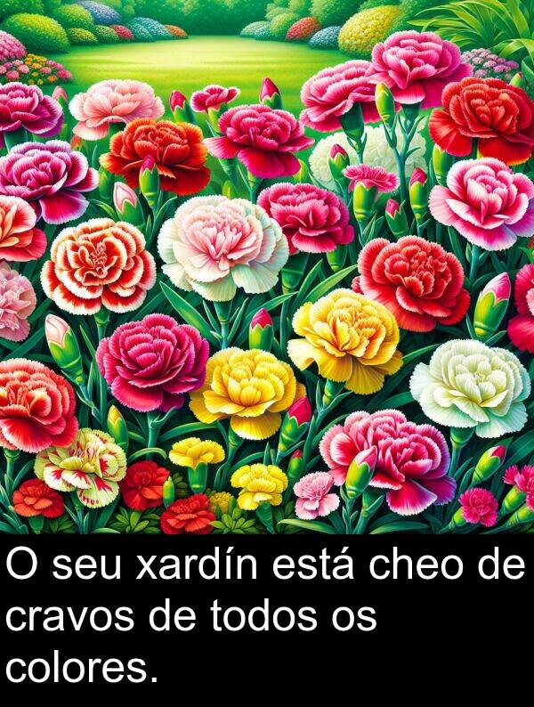 colores: O seu xardín está cheo de cravos de todos os colores.