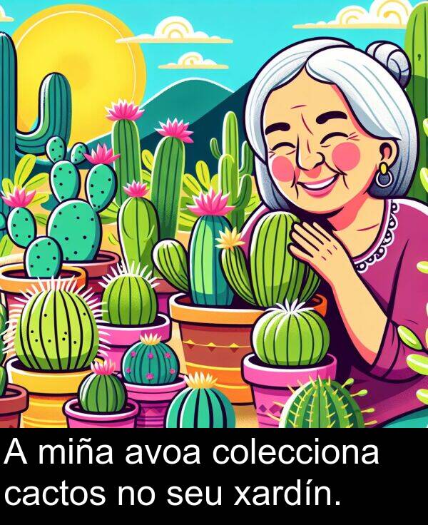 miña: A miña avoa colecciona cactos no seu xardín.