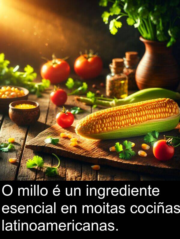 esencial: O millo é un ingrediente esencial en moitas cociñas latinoamericanas.