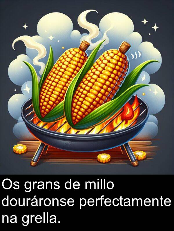 perfectamente: Os grans de millo douráronse perfectamente na grella.