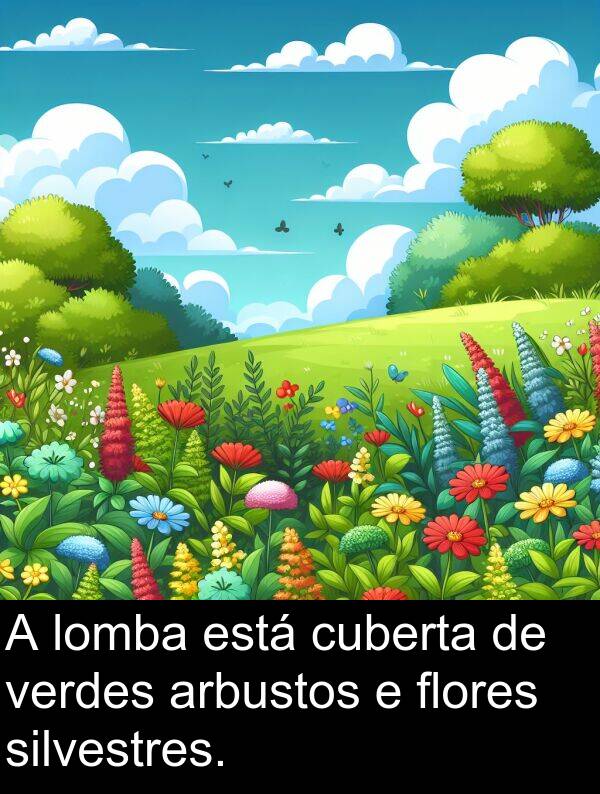 cuberta: A lomba está cuberta de verdes arbustos e flores silvestres.