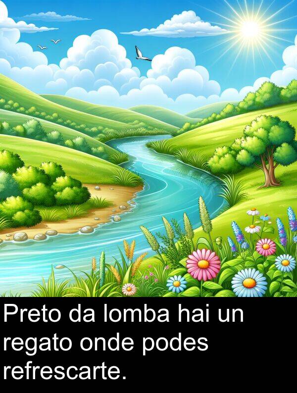 regato: Preto da lomba hai un regato onde podes refrescarte.