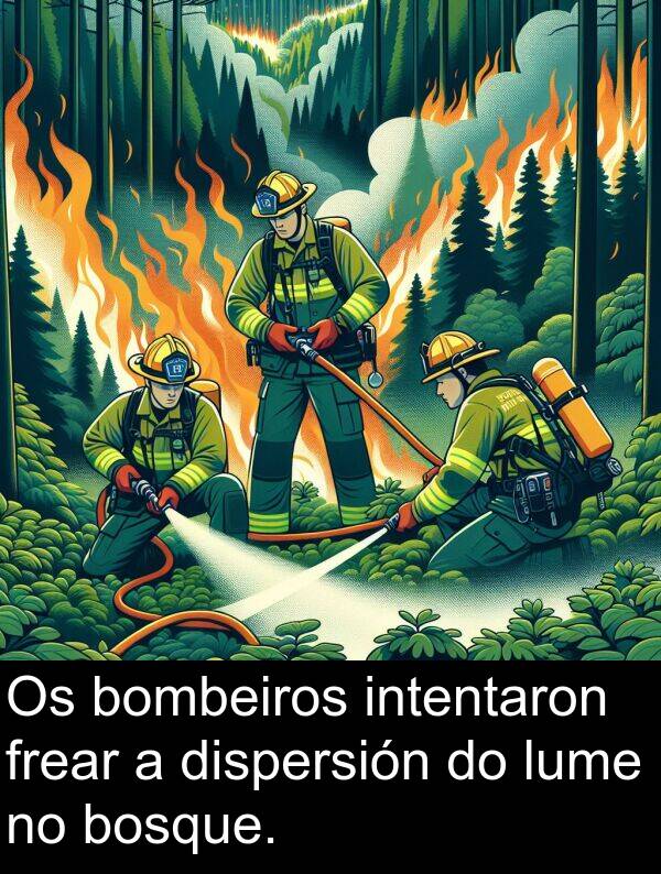 frear: Os bombeiros intentaron frear a dispersión do lume no bosque.
