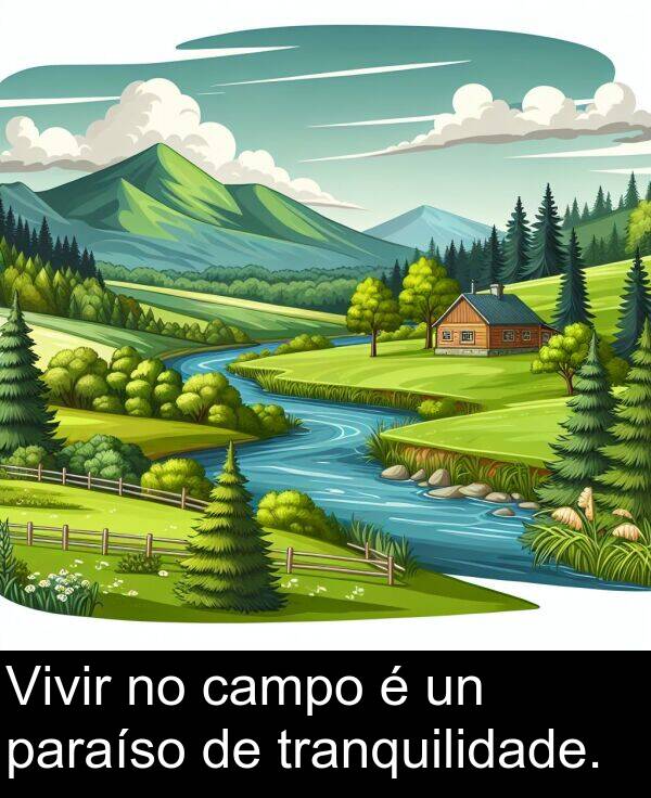 tranquilidade: Vivir no campo é un paraíso de tranquilidade.