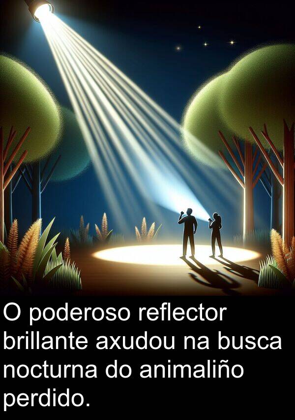 reflector: O poderoso reflector brillante axudou na busca nocturna do animaliño perdido.