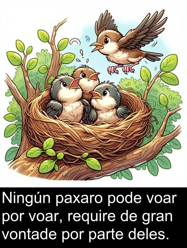 require: Ningún paxaro pode voar por voar, require de gran vontade por parte deles.