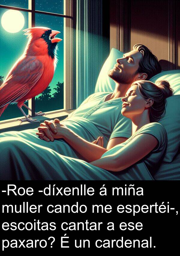 escoitas: -Roe -díxenlle á miña muller cando me espertéi-, escoitas cantar a ese paxaro? É un cardenal.