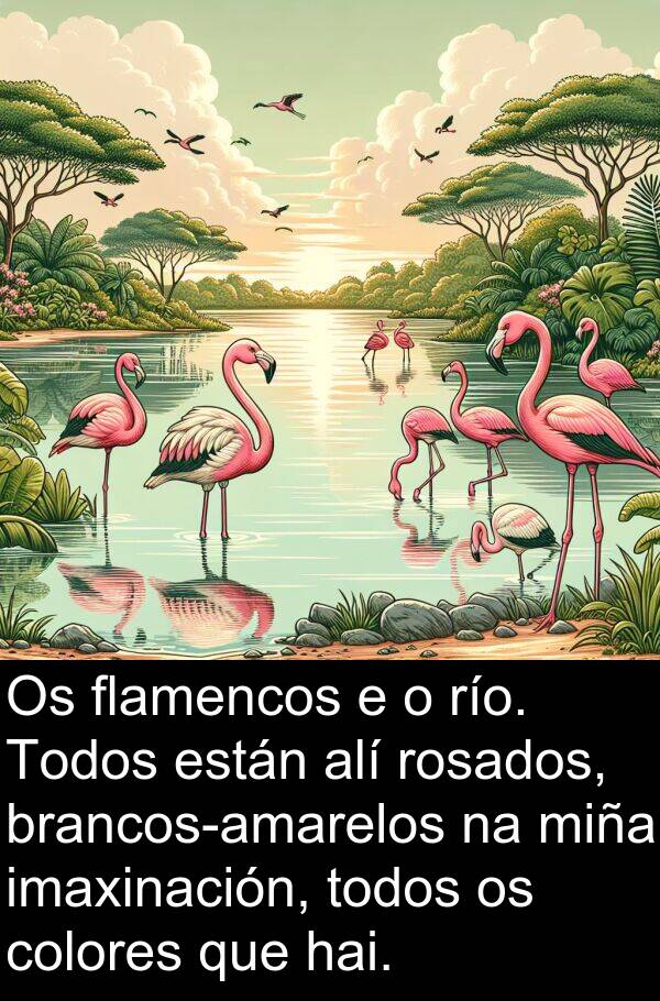 río: Os flamencos e o río. Todos están alí rosados, brancos-amarelos na miña imaxinación, todos os colores que hai.